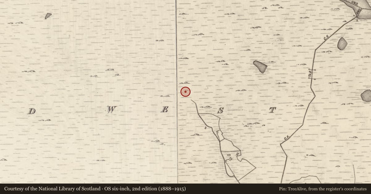Ordnance Survey six-inch map, 2nd edition (1888–1915) covering the location of Ringfort - cashel, Doire Fhada Thiar, County Galway, with a pin at the register's coordinates