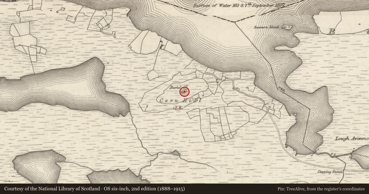 Ordnance Survey six-inch map, 2nd edition (1888–1915) covering the location of Burial ground, Úraid, County Galway, with a pin at the register's coordinates