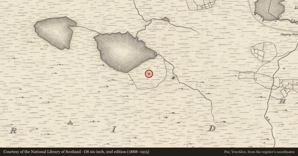 Ordnance Survey six-inch map, 2nd edition (1888–1915) covering the location of Standing stone - pair, Úraid, County Galway, with a pin at the register's coordinates