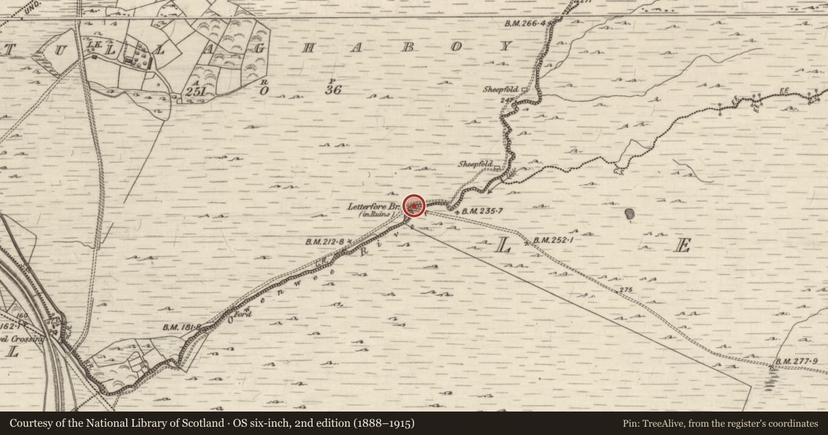 Ordnance Survey six-inch map, 2nd edition (1888–1915) covering the location of Bridge, Letterfore, Tullaghaboy, County Galway, with a pin at the register's coordinates