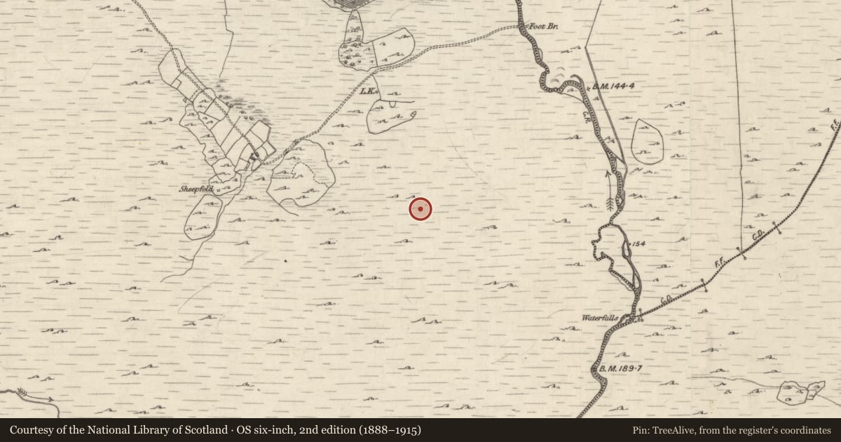 Ordnance Survey six-inch map, 2nd edition (1888–1915) covering the location of Stepping stones, Derreighter, County Galway, with a pin at the register's coordinates