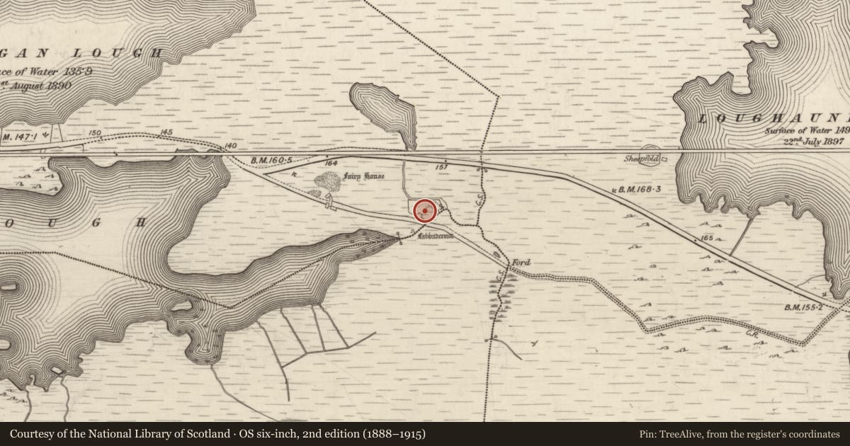 Ordnance Survey six-inch map, 2nd edition (1888–1915) covering the location of House - 18th/19th century, Lurgan Or Shindilla, County Galway, with a pin at the register's coordinates
