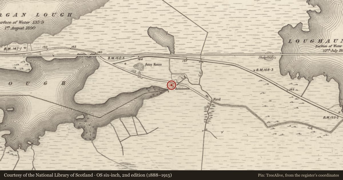 Ordnance Survey six-inch map, 2nd edition (1888–1915) covering the location of Megalithic structure, Lurgan Or Shindilla, County Galway, with a pin at the register's coordinates