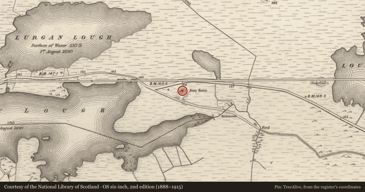 Ordnance Survey six-inch map, 2nd edition (1888–1915) covering the location of Quarry, Lurgan Or Shindilla, County Galway, with a pin at the register's coordinates