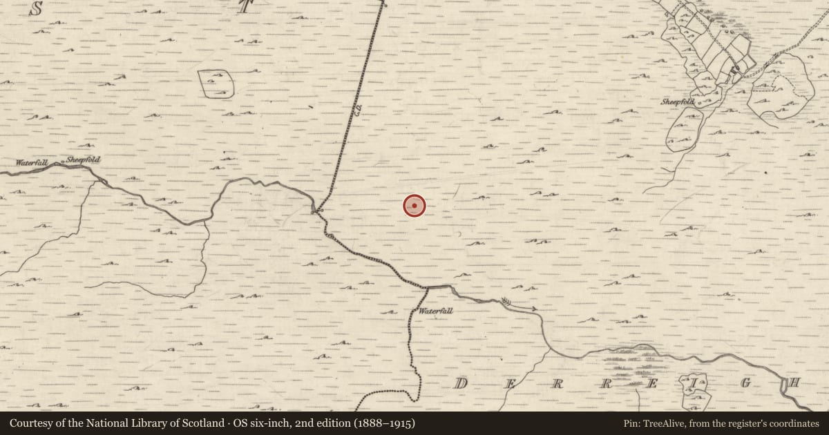 Ordnance Survey six-inch map, 2nd edition (1888–1915) covering the location of Stepping stones, Derreighter, County Galway, with a pin at the register's coordinates