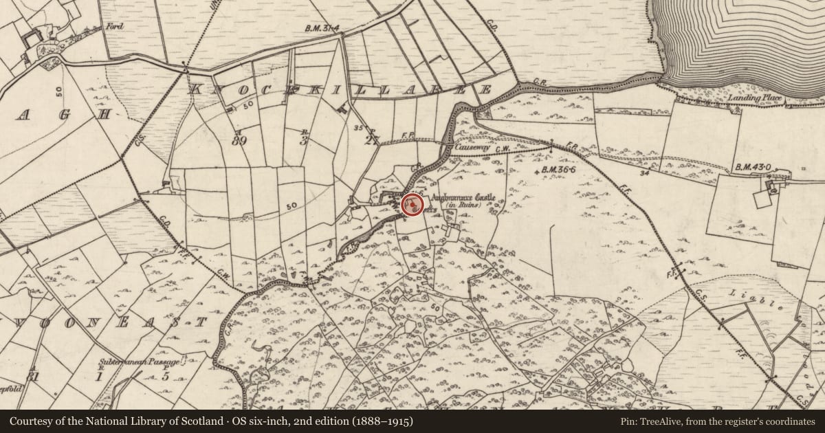 Ordnance Survey six-inch map, 2nd edition (1888–1915) covering the location of Bawn, Aughnanure, County Galway, with a pin at the register's coordinates