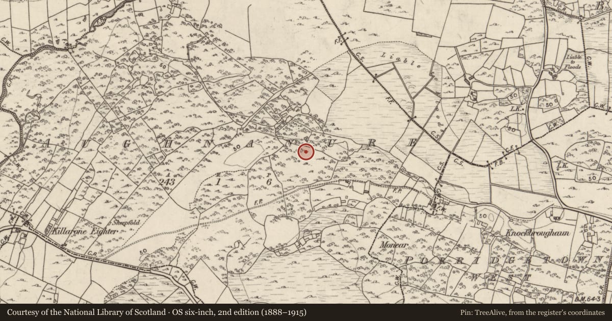 Ordnance Survey six-inch map, 2nd edition (1888–1915) covering the location of Ringfort - unclassified, Aughnanure, County Galway, with a pin at the register's coordinates