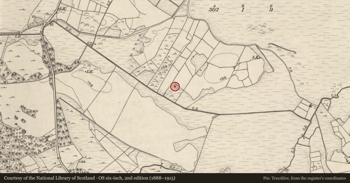 Ordnance Survey six-inch map, 2nd edition (1888–1915) covering the location of Ringfort - unclassified, Billymore Or Carrowntober, County Galway, with a pin at the register's coordinates