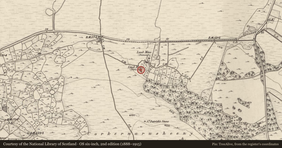Ordnance Survey six-inch map, 2nd edition (1888–1915) covering the location of Mine - lead, Clooshgereen, County Galway, with a pin at the register's coordinates