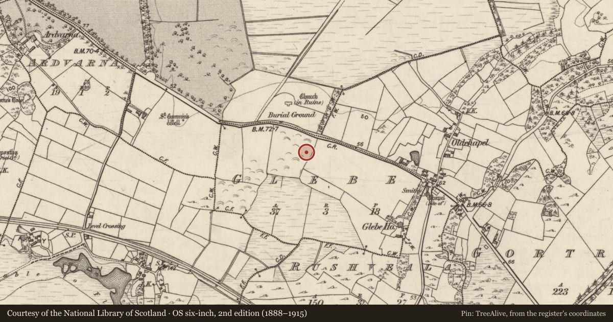 Ordnance Survey six-inch map, 2nd edition (1888–1915) covering the location of Ringfort - unclassified, Glebe, County Galway, with a pin at the register's coordinates