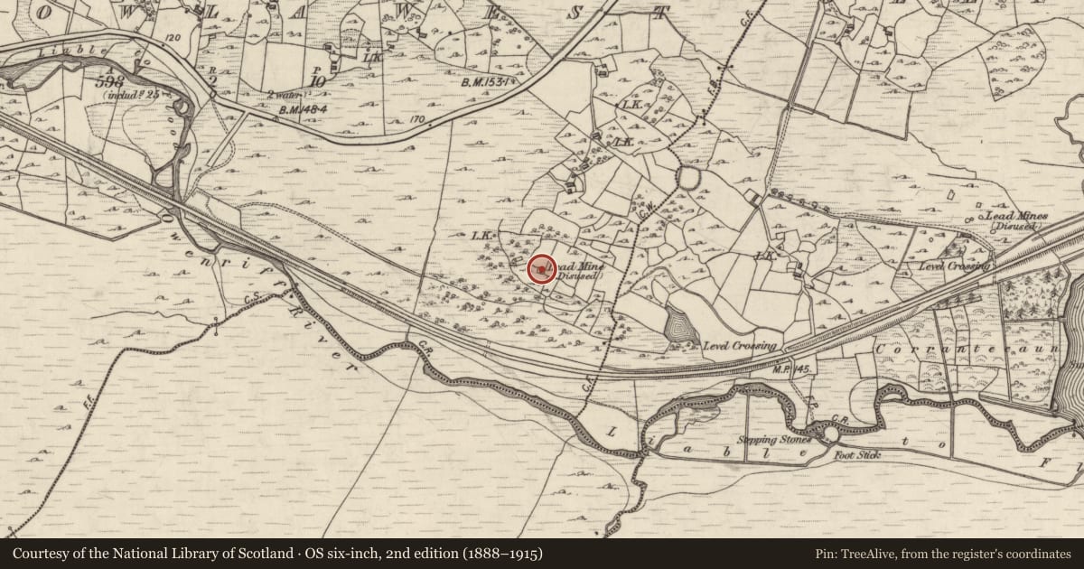 Ordnance Survey six-inch map, 2nd edition (1888–1915) covering the location of Mine - lead, Glengowla West, County Galway, with a pin at the register's coordinates