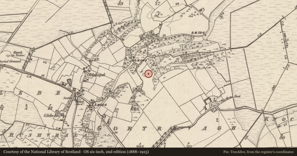 Ordnance Survey six-inch map, 2nd edition (1888–1915) covering the location of Ringfort - unclassified, Gortrevagh, County Galway, with a pin at the register's coordinates