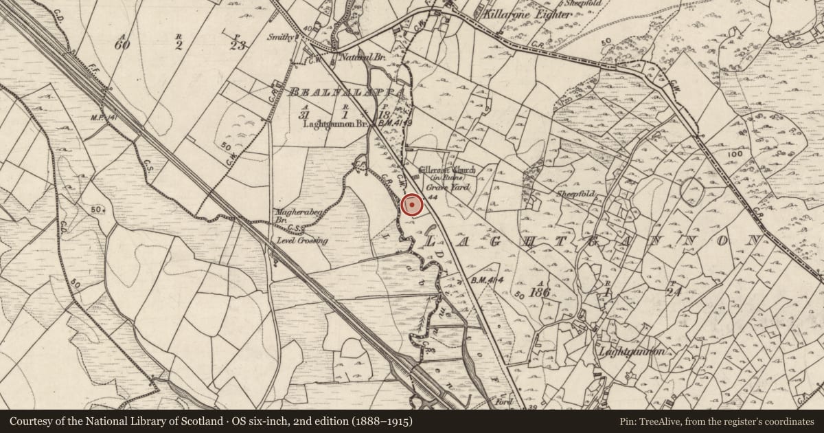 Ordnance Survey six-inch map, 2nd edition (1888–1915) covering the location of Bullaun stone, Laghtgannon, County Galway, with a pin at the register's coordinates