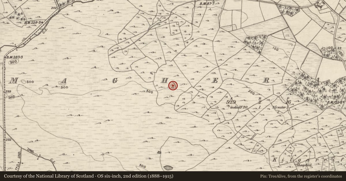 Ordnance Survey six-inch map, 2nd edition (1888–1915) covering the location of Ringfort - rath, Maghera More, County Galway, with a pin at the register's coordinates