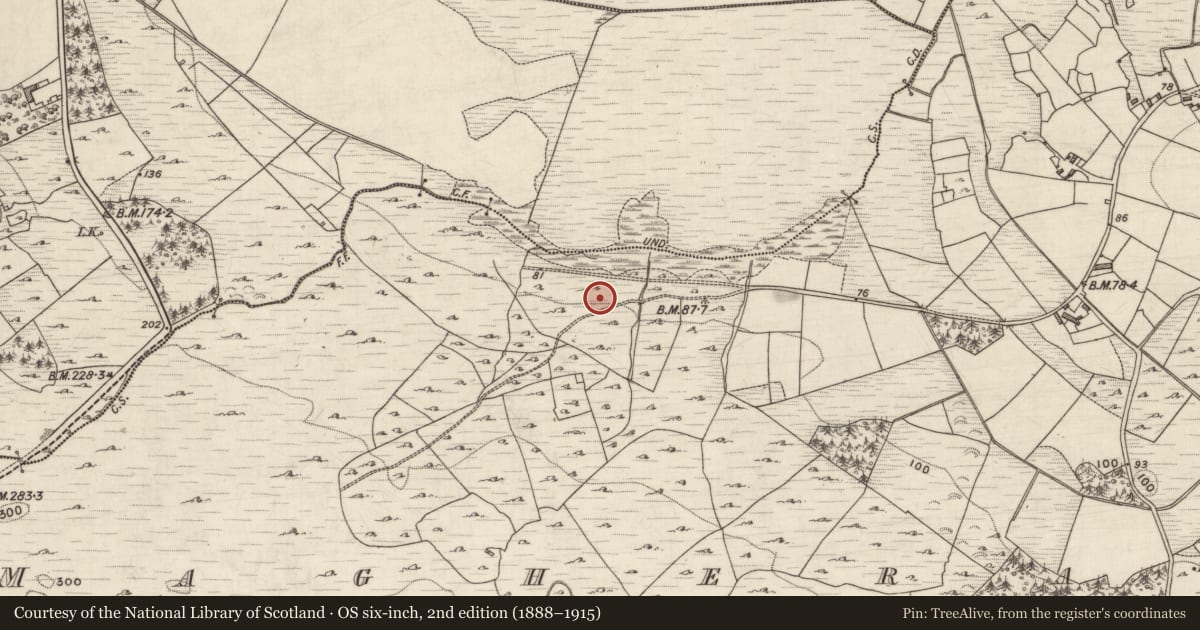 Ordnance Survey six-inch map, 2nd edition (1888–1915) covering the location of Quarry, Maghera More, County Galway, with a pin at the register's coordinates