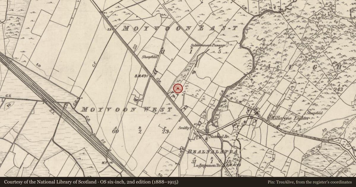 Ordnance Survey six-inch map, 2nd edition (1888–1915) covering the location of Ringfort - unclassified, Moyvoon East, County Galway, with a pin at the register's coordinates