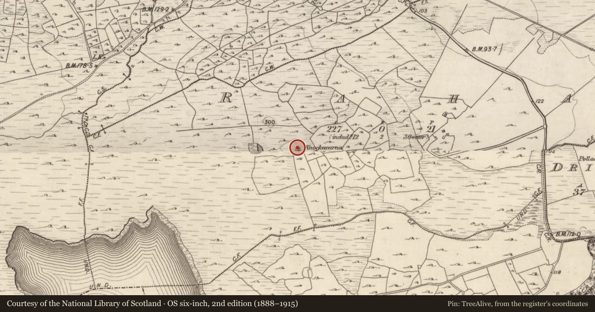 Ordnance Survey six-inch map, 2nd edition (1888–1915) covering the location of Cairn - unclassified, Raha, County Galway, with a pin at the register's coordinates
