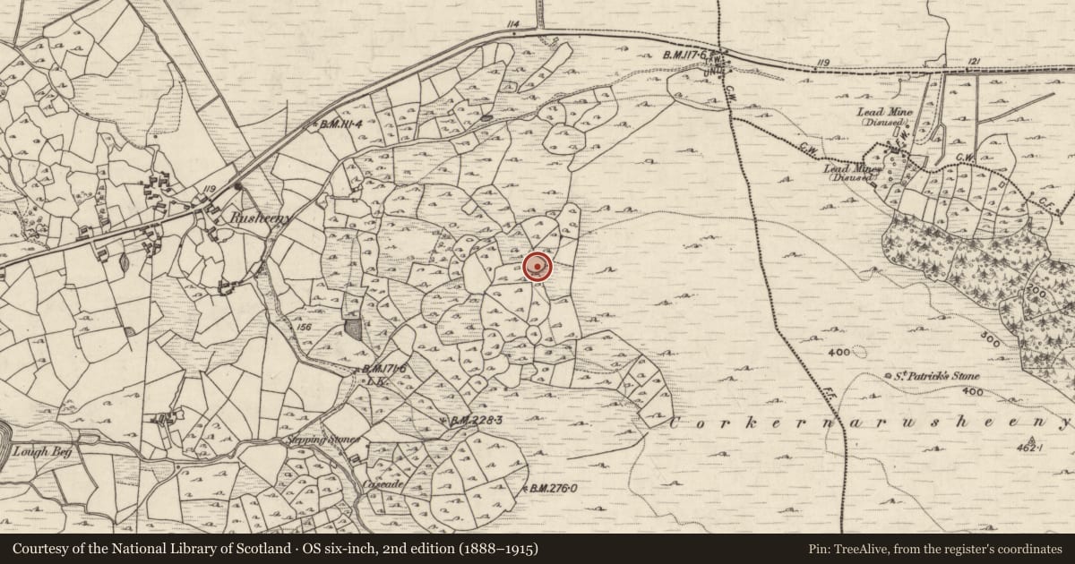 Ordnance Survey six-inch map, 2nd edition (1888–1915) covering the location of Ringfort - cashel, Rusheeny, County Galway, with a pin at the register's coordinates