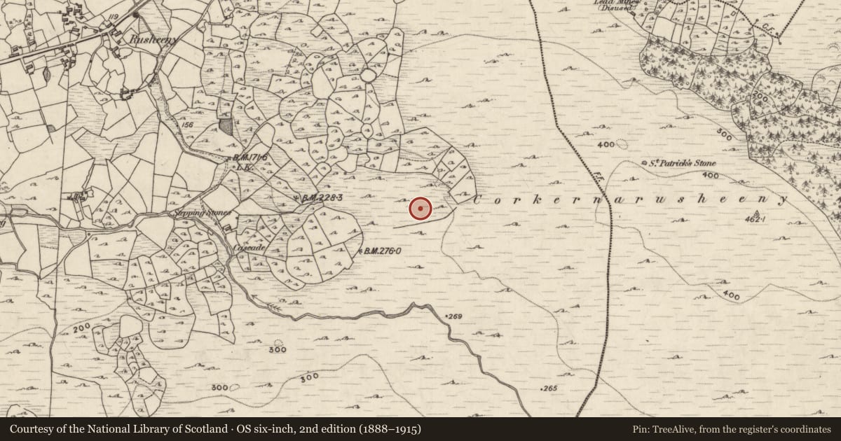 Ordnance Survey six-inch map, 2nd edition (1888–1915) covering the location of Field system, Rusheeny, County Galway, with a pin at the register's coordinates