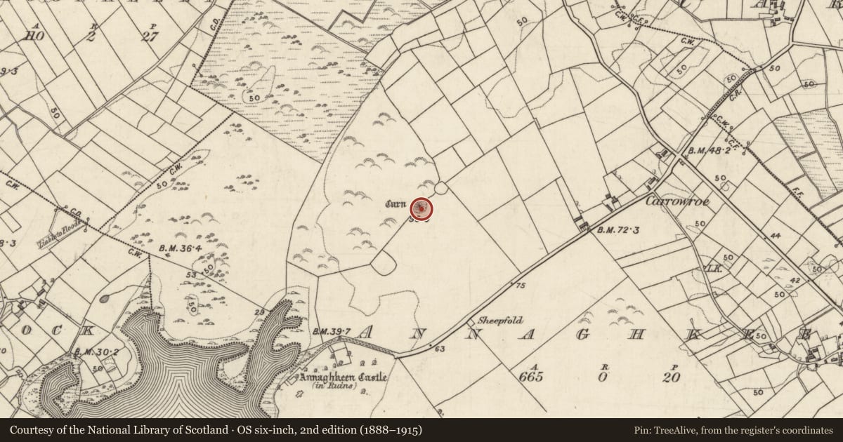 Ordnance Survey six-inch map, 2nd edition (1888–1915) covering the location of Cairn - burial cairn, Annaghkeen, County Galway, with a pin at the register's coordinates