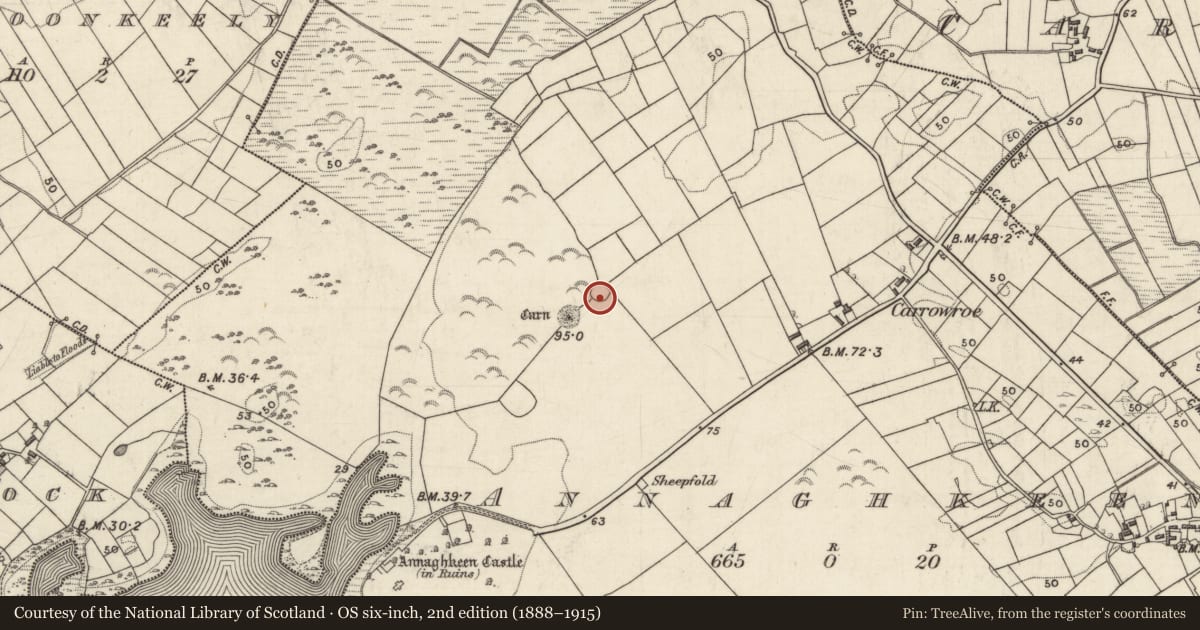 Ordnance Survey six-inch map, 2nd edition (1888–1915) covering the location of Enclosure, Annaghkeen, County Galway, with a pin at the register's coordinates