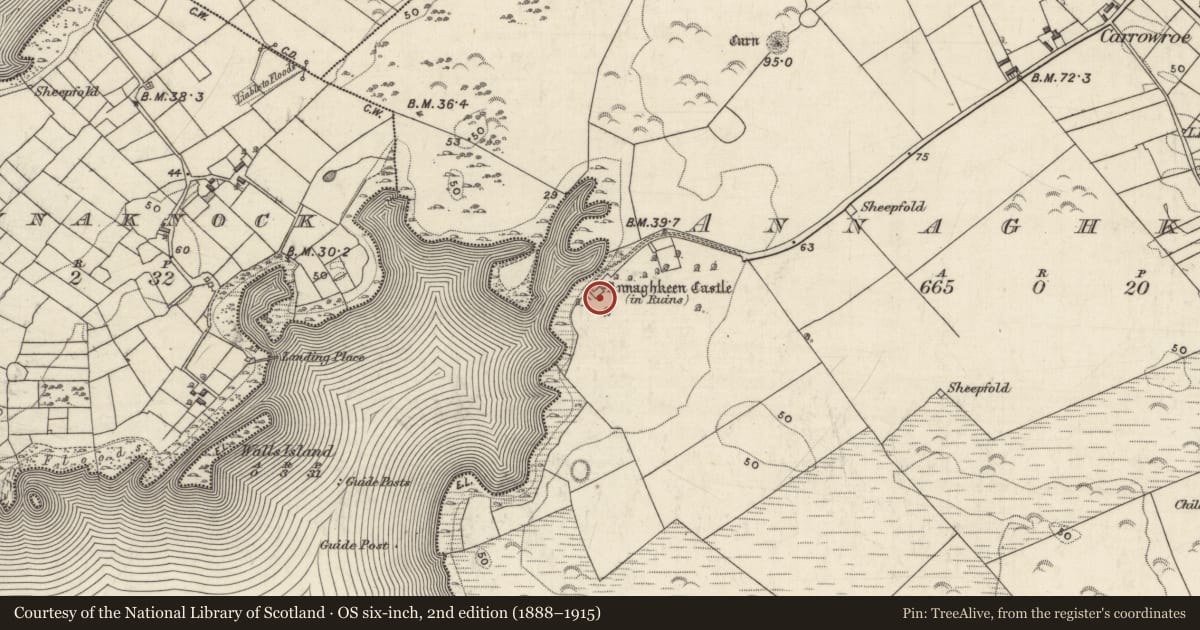 Ordnance Survey six-inch map, 2nd edition (1888–1915) covering the location of Castle - Anglo-Norman masonry castle, Annaghkeen, County Galway, with a pin at the register's coordinates