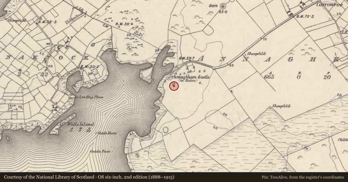 Ordnance Survey six-inch map, 2nd edition (1888–1915) covering the location of Country house, Annaghkeen, County Galway, with a pin at the register's coordinates