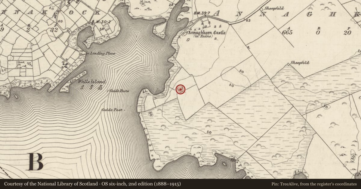 Ordnance Survey six-inch map, 2nd edition (1888–1915) covering the location of Mound, Annaghkeen, County Galway, with a pin at the register's coordinates