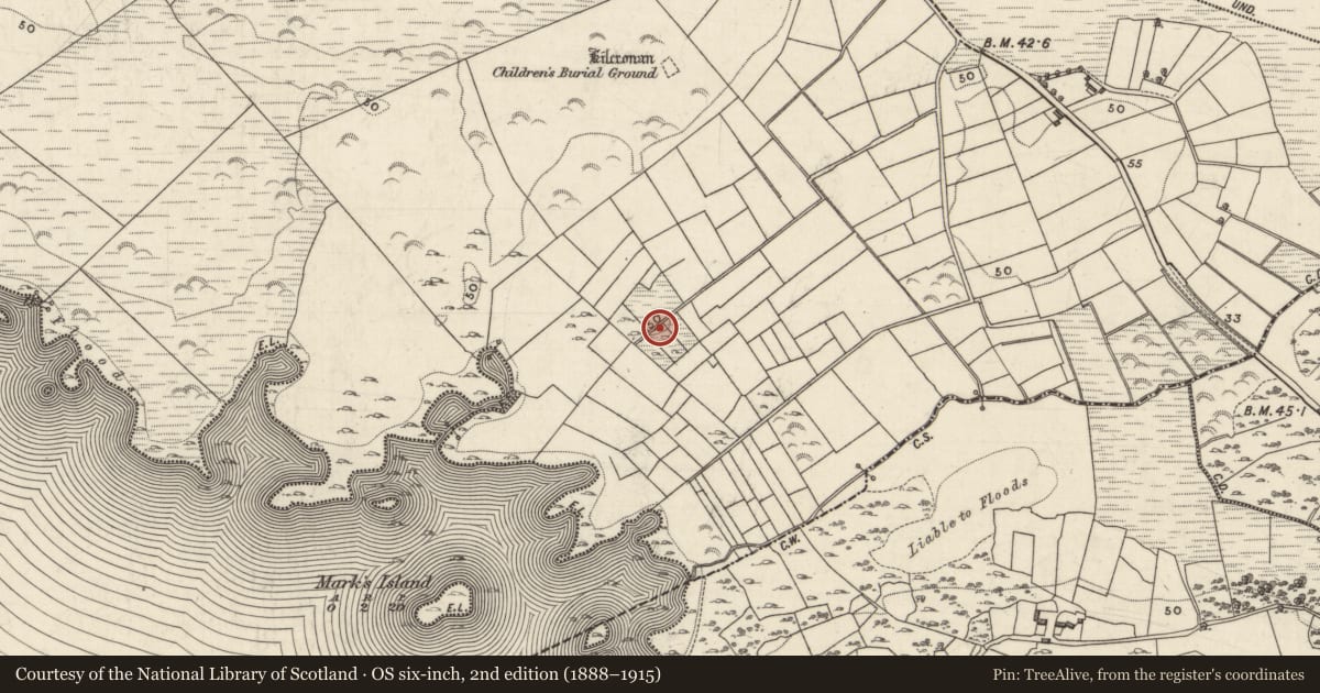 Ordnance Survey six-inch map, 2nd edition (1888–1915) covering the location of Ringfort - unclassified, Annaghkeen, County Galway, with a pin at the register's coordinates