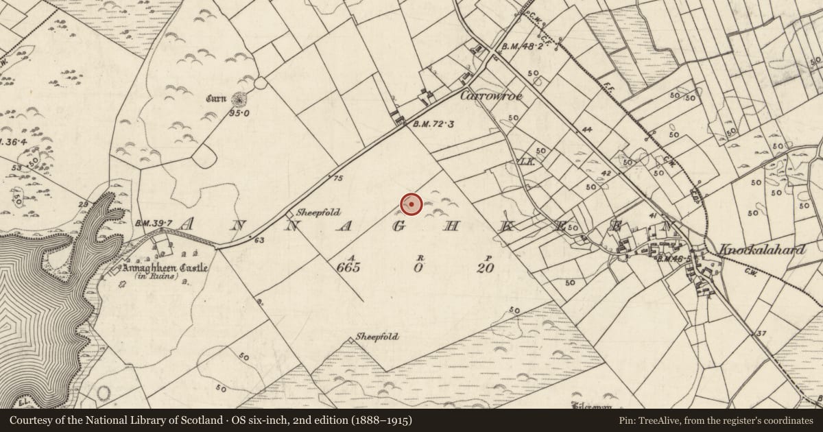 Ordnance Survey six-inch map, 2nd edition (1888–1915) covering the location of Burial mound, Annaghkeen, County Galway, with a pin at the register's coordinates