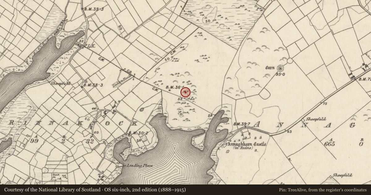 Ordnance Survey six-inch map, 2nd edition (1888–1915) covering the location of Ringfort - unclassified, Annaghkeen, County Galway, with a pin at the register's coordinates