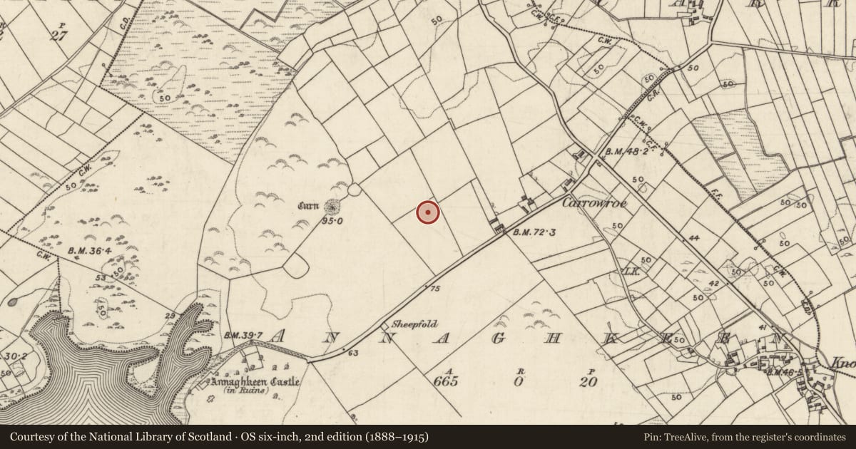 Ordnance Survey six-inch map, 2nd edition (1888–1915) covering the location of Cist, Annaghkeen, County Galway, with a pin at the register's coordinates