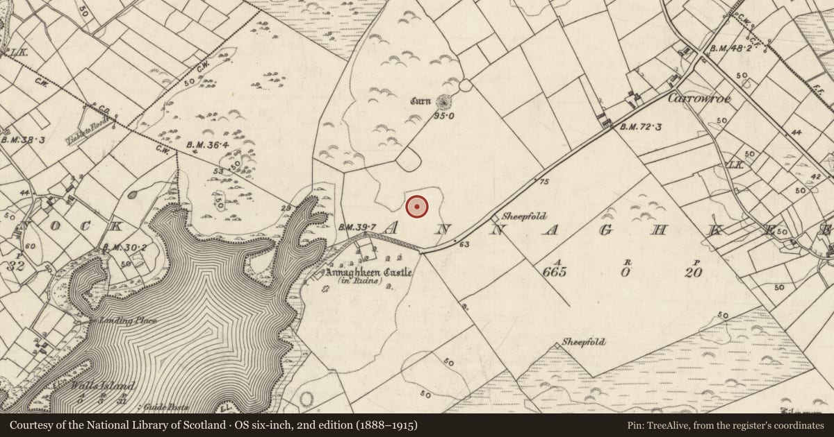 Ordnance Survey six-inch map, 2nd edition (1888–1915) covering the location of Anomalous stone group, Annaghkeen, County Galway, with a pin at the register's coordinates