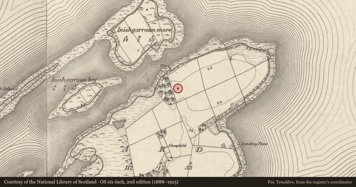 Ordnance Survey six-inch map, 2nd edition (1888–1915) covering the location of Cist, Ard, County Galway, with a pin at the register's coordinates