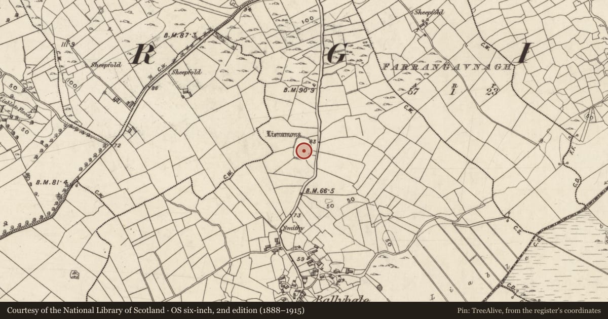 Ordnance Survey six-inch map, 2nd edition (1888–1915) covering the location of Ringfort - unclassified, Ballyhale, County Galway, with a pin at the register's coordinates