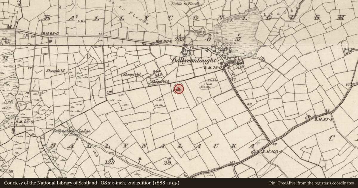 Ordnance Survey six-inch map, 2nd edition (1888–1915) covering the location of Enclosure, Ballynalacka, County Galway, with a pin at the register's coordinates