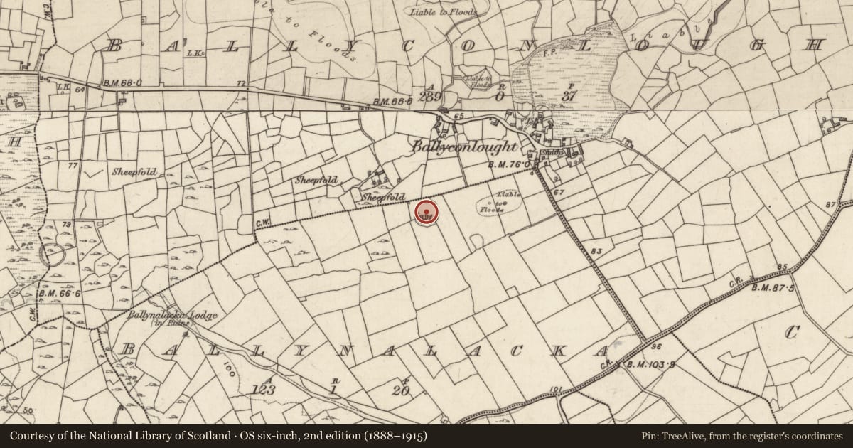 Ordnance Survey six-inch map, 2nd edition (1888–1915) covering the location of Souterrain, Ballynalacka, County Galway, with a pin at the register's coordinates