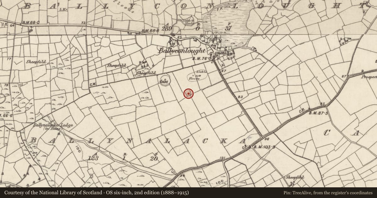 Ordnance Survey six-inch map, 2nd edition (1888–1915) covering the location of Enclosure, Ballynalacka, County Galway, with a pin at the register's coordinates