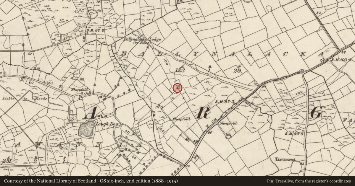 Ordnance Survey six-inch map, 2nd edition (1888–1915) covering the location of Enclosure, Ballynalacka, County Galway, with a pin at the register's coordinates