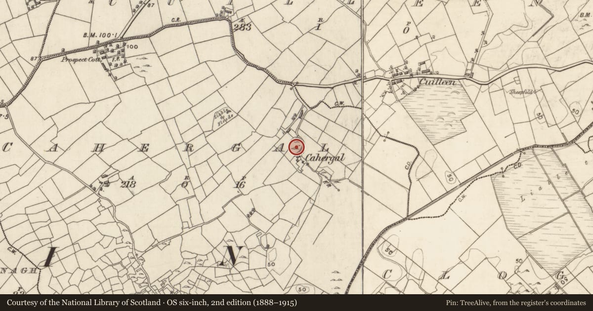 Ordnance Survey six-inch map, 2nd edition (1888–1915) covering the location of Ringfort - unclassified, Cahergal, County Galway, with a pin at the register's coordinates