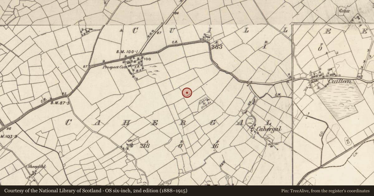 Ordnance Survey six-inch map, 2nd edition (1888–1915) covering the location of Children's burial ground, Cahergal, County Galway, with a pin at the register's coordinates