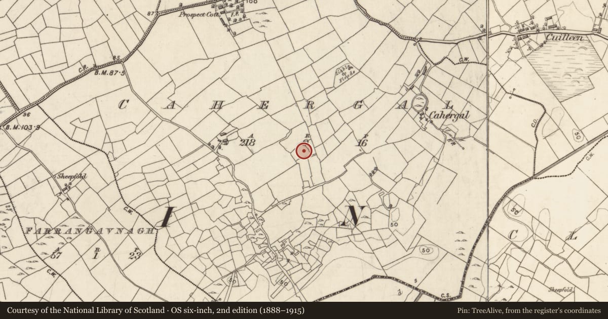 Ordnance Survey six-inch map, 2nd edition (1888–1915) covering the location of Altar, Cahergal, County Galway, with a pin at the register's coordinates
