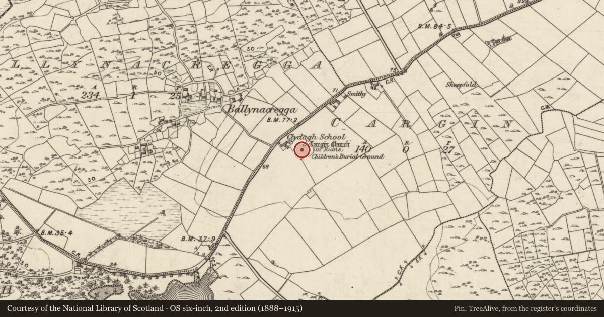 Ordnance Survey six-inch map, 2nd edition (1888–1915) covering the location of Ecclesiastical enclosure, Cargin, County Galway, with a pin at the register's coordinates