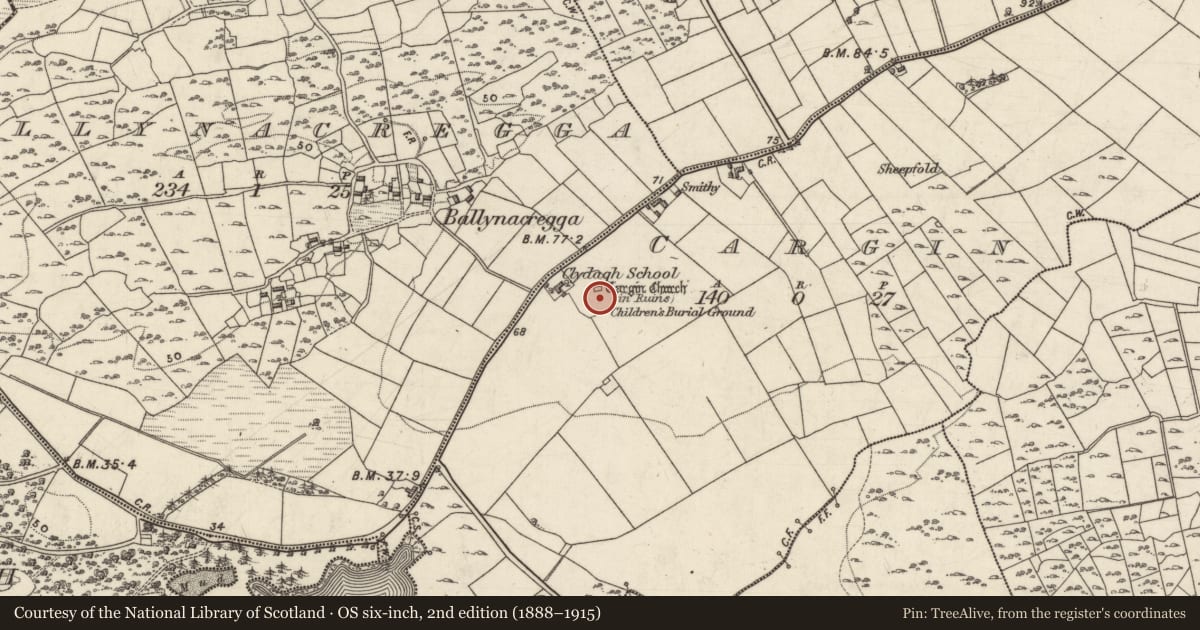 Ordnance Survey six-inch map, 2nd edition (1888–1915) covering the location of Graveyard, Cargin, County Galway, with a pin at the register's coordinates