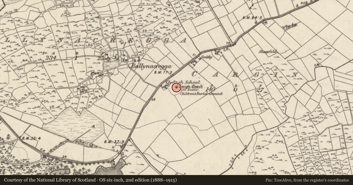 Ordnance Survey six-inch map, 2nd edition (1888–1915) covering the location of Exhibitionist figure, Cargin, County Galway, with a pin at the register's coordinates