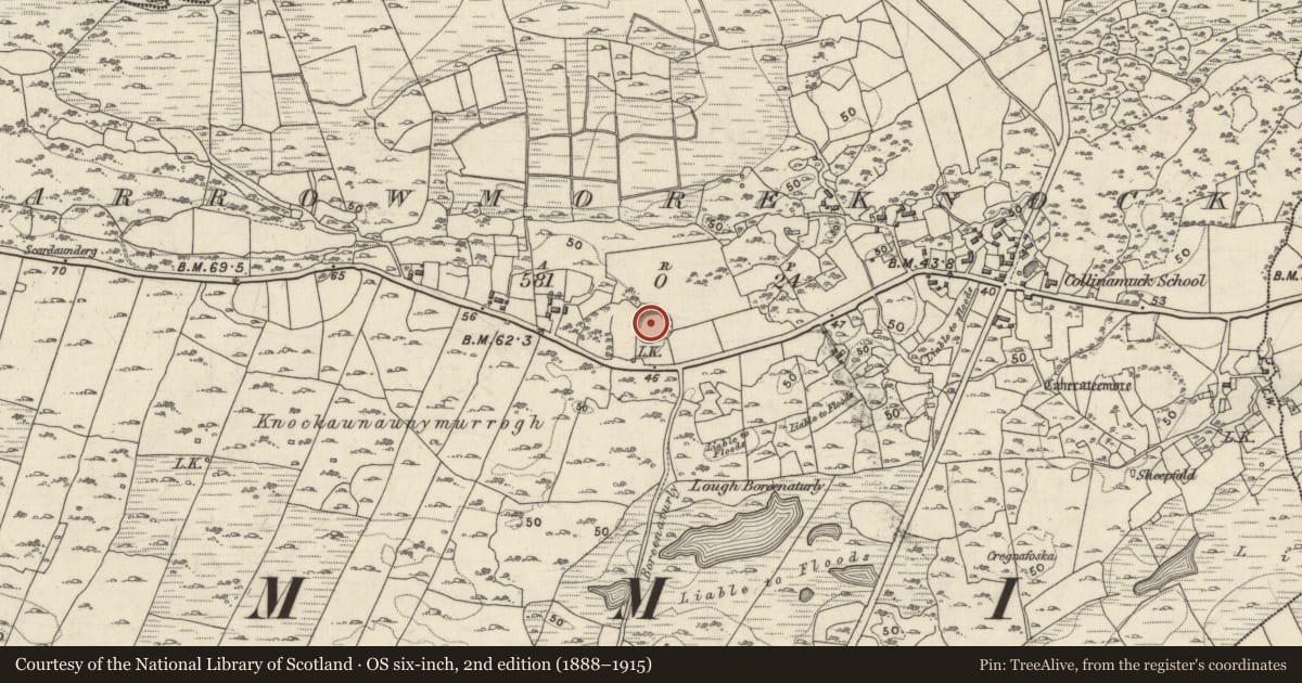 Ordnance Survey six-inch map, 2nd edition (1888–1915) covering the location of Ringfort - unclassified, Carrowmoreknock, County Galway, with a pin at the register's coordinates