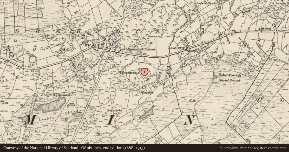 Ordnance Survey six-inch map, 2nd edition (1888–1915) covering the location of Enclosure, Carrowmoreknock, County Galway, with a pin at the register's coordinates