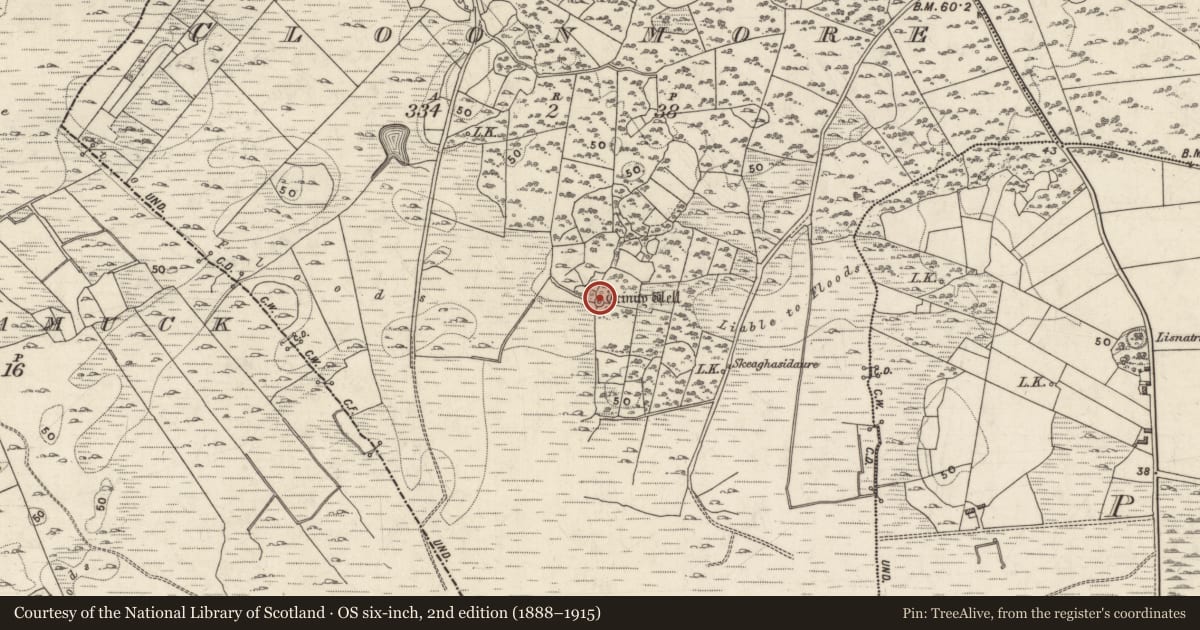 Ordnance Survey six-inch map, 2nd edition (1888–1915) covering the location of Ritual site - holy well, Cloonmore, County Galway, with a pin at the register's coordinates