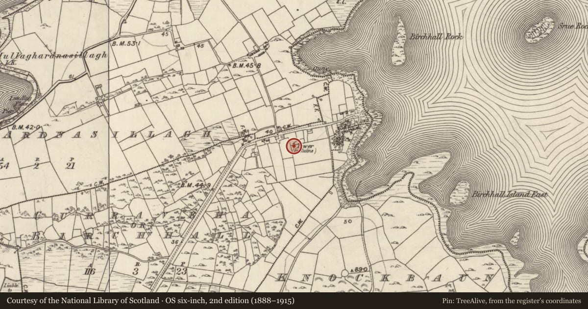 Ordnance Survey six-inch map, 2nd edition (1888–1915) covering the location of Dovecote, Curraveha Or Birchhall, County Galway, with a pin at the register's coordinates