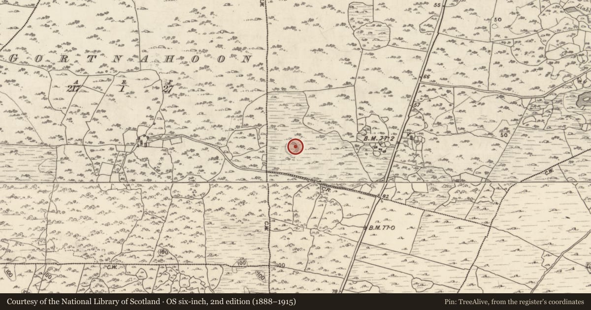 Ordnance Survey six-inch map, 2nd edition (1888–1915) covering the location of Enclosure, Kylemore, County Galway, with a pin at the register's coordinates